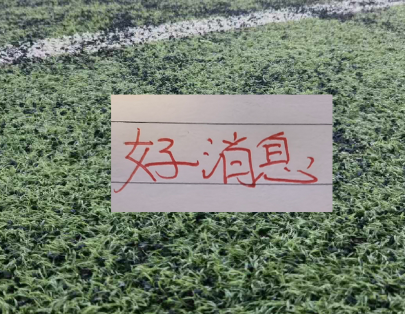 迪马济奥:切尔西联系了帕莱斯特拉经纪人,球员希望留在意甲