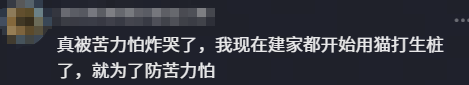 绿茵连沪嘉,嘉善少年“四年磨一剑”