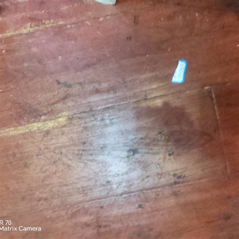 米兰体育 可持续材料运动装备